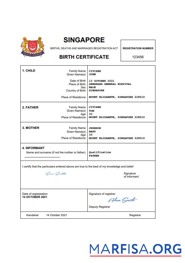 Printable Singapore vital record birth certificate Word and PDF template